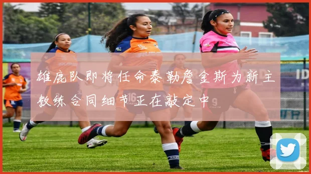雄鹿队即将任命泰勒詹金斯为新主教练合同细节正在敲定中