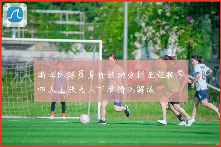 浙江队球员身价波动分析王钰栋等四人上涨九人下滑情况解读