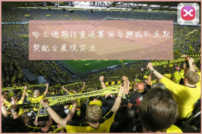 哈兰德期待重返赛场与挪威队友默契配合展现实力